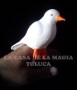 Captura de pantalla 2025-03-26 183754